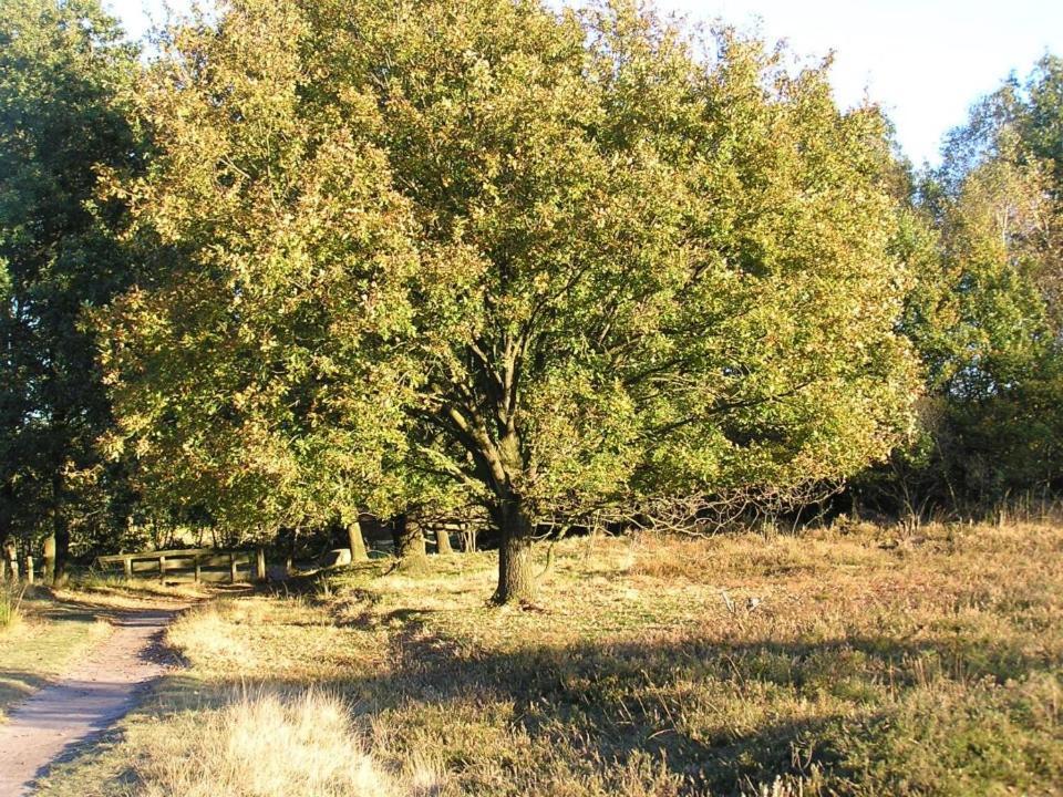 City-Apparte One Zentrales & Komfortables Wohnen In Gronau Gronau  Bagian luar foto